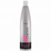 QUITAMANCHAS PARA TINTE CLEAN SHINING PROFESSIONAL 250 ml