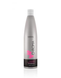 QUITAMANCHAS PARA TINTE CLEAN SHINING PROFESSIONAL 250 ml